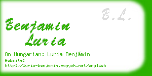 benjamin luria business card