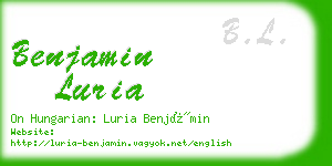 benjamin luria business card